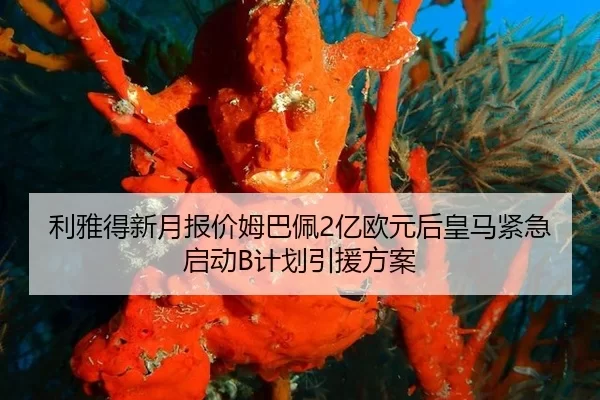 利雅得新月报价姆巴佩2亿欧元后皇马紧急启动B计划引援方案